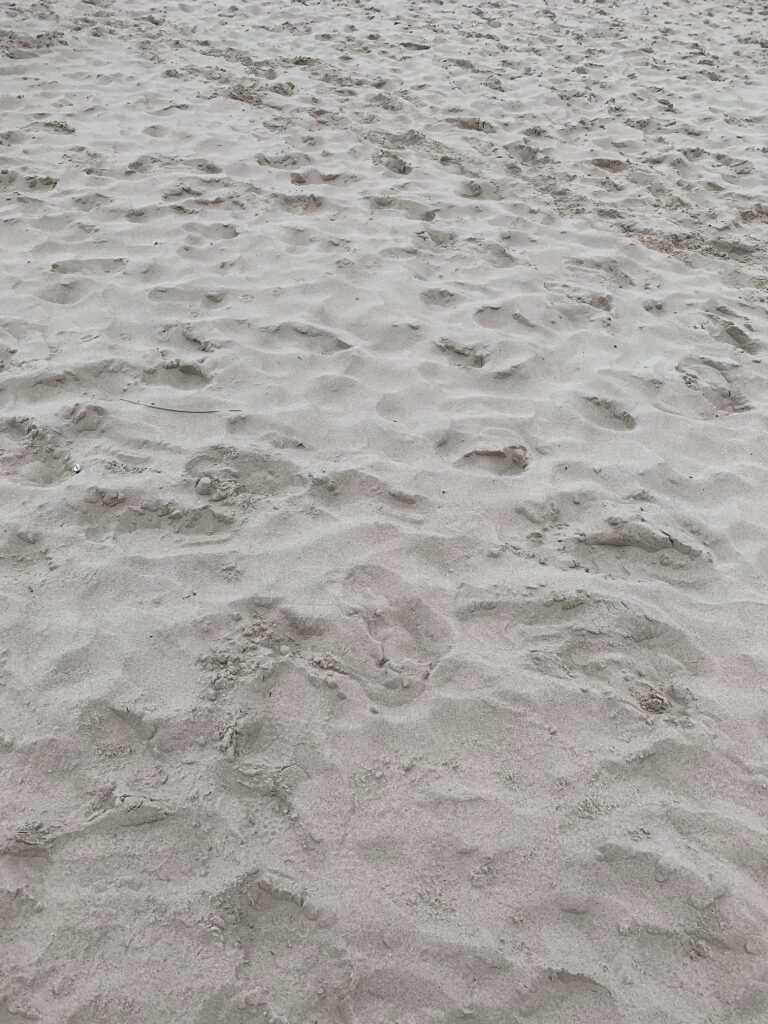 2021-08-18-15.05.17